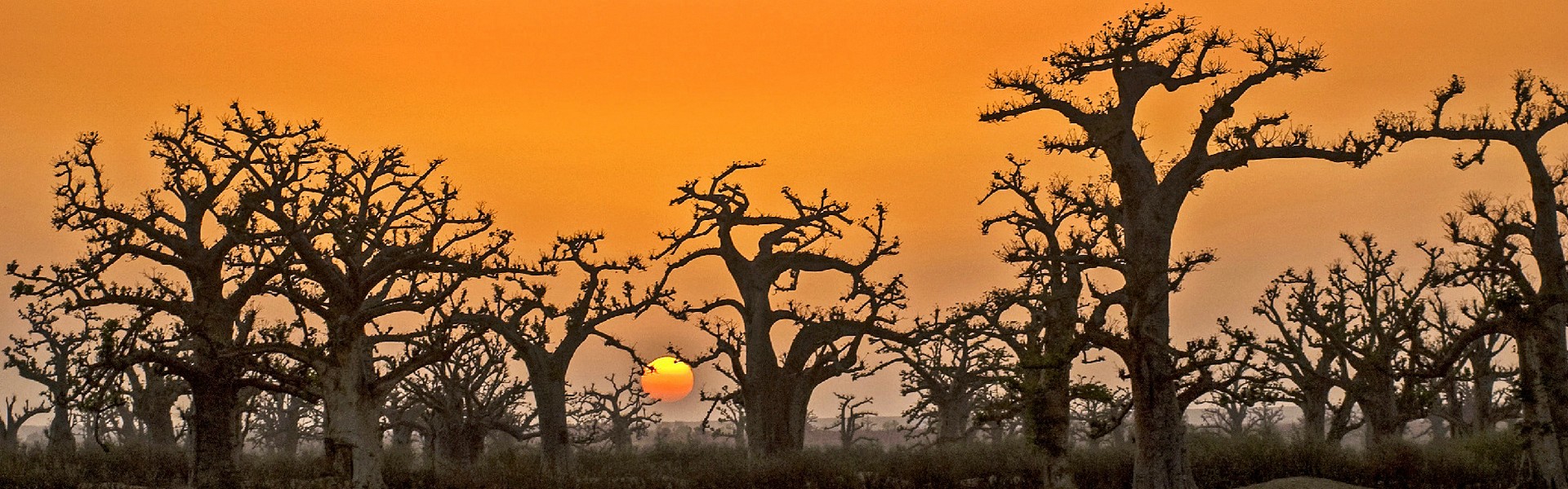 sahel sénégal