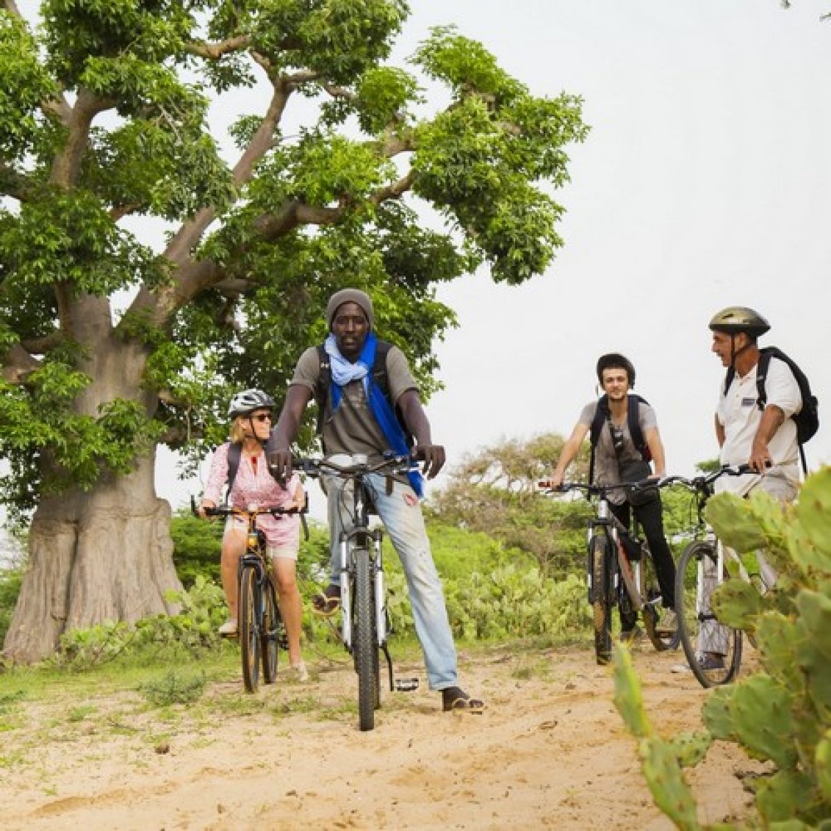 Aventure à vélo - 1 journée