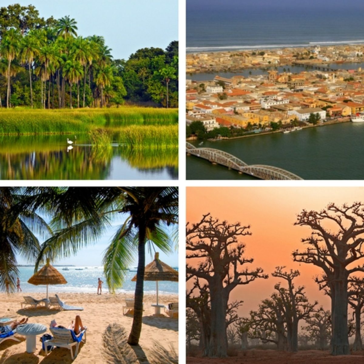 Discovery Travel
