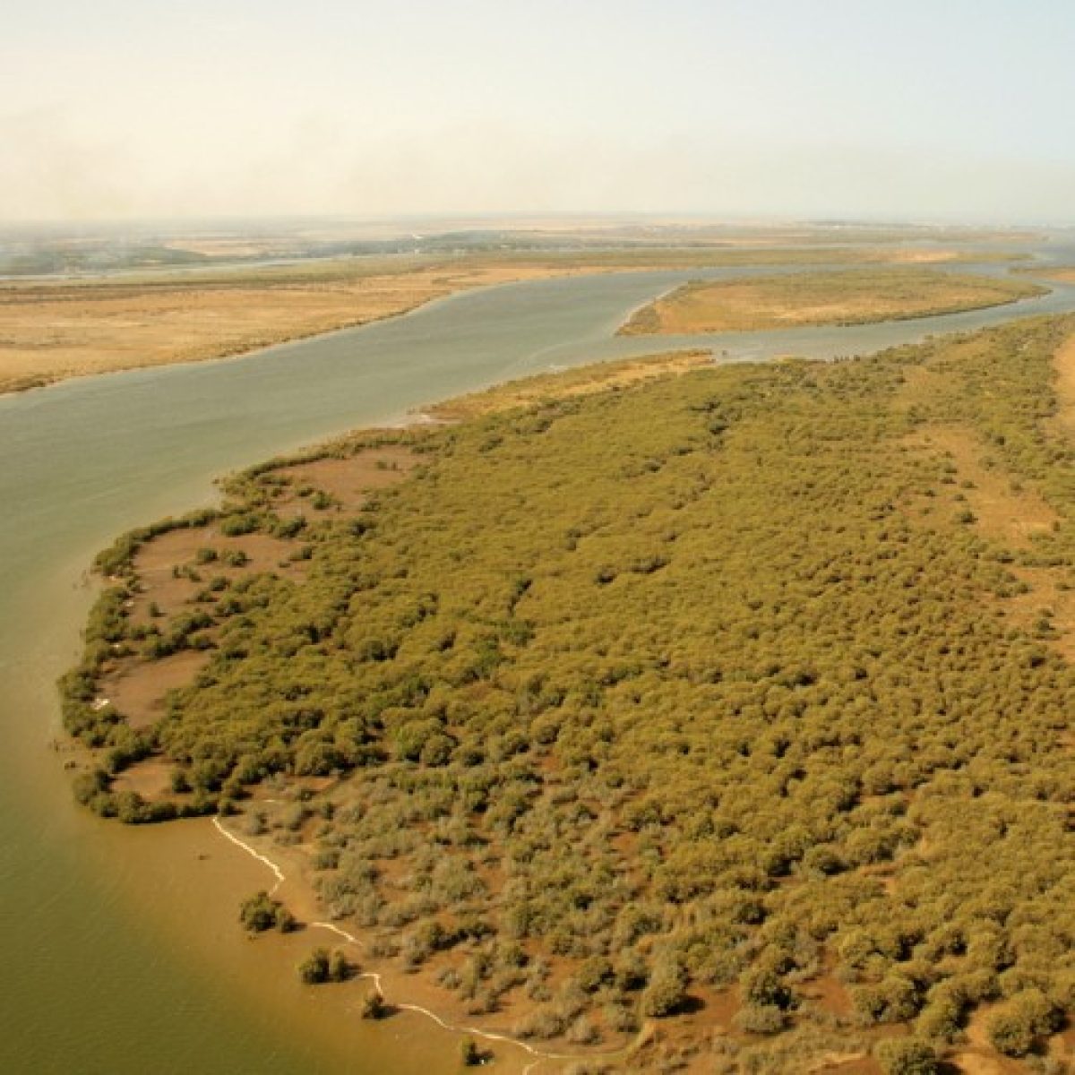 Descubrimiento de los islotes escondidos de del río Senegal - Una jornada