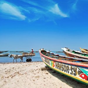 excursion-dakar-delta-sine-saloum-fleuve-pirogue-sahel-decouverte-senegal