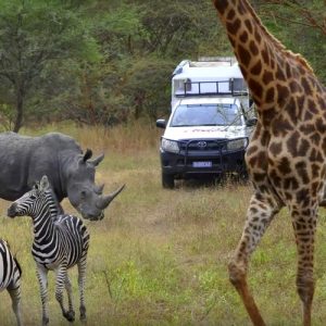 excursion-dakar-safari-reserve-de-bandia-sahel-decouverte-senegal
