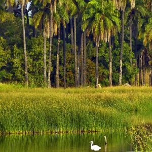 sahel-decouverte-circuit-senegal-casamance-pacao-fouladou-diversite-culturelle-2